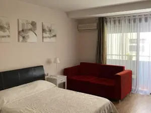 Apartment Plaisir