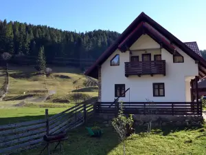 Pensiunea Daria Putna