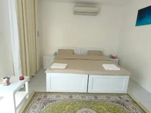 Ras Al Hadd Orchid