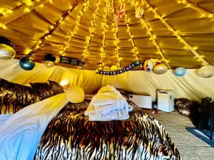 Burtree Country House, Tipi's, Treehouse & Lodge & House Rooms with Hot Tubs in a Private Garden