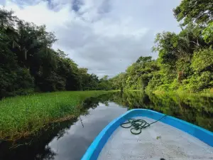 El Encanto Caño Negro