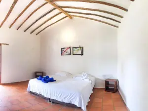 Terrazas de Guadalupe