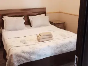 Apartment Giorgi in Sighnaghi