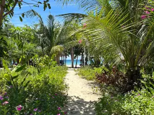 Timothe Beach Bungalow