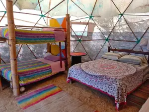 La Pacha Hostel