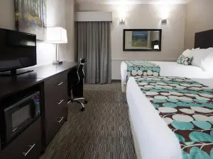 University Inn