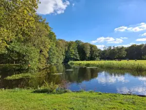 Vakantiehuisje B&B de Kleine Voskuil