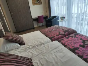 B&B Hotel de Vrije Vogel