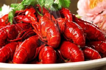 红山福建附近深圳菜美食小众,深圳红山附近福美食尖沙咀团购图片