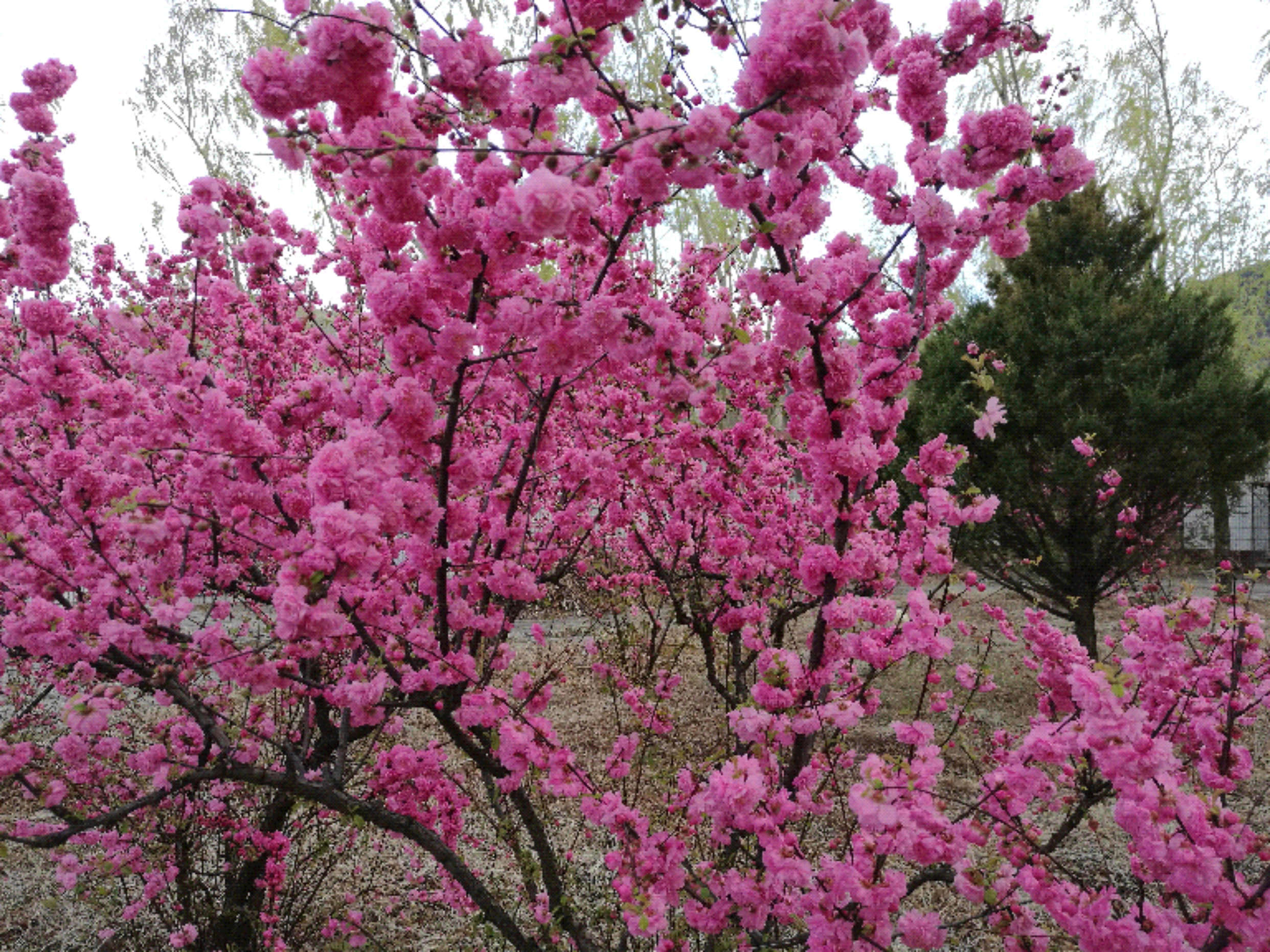 百花谷风景区