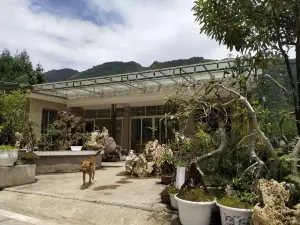 Lushan Mountain and Water Town Homestay