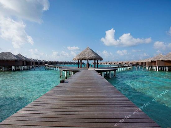 ɿɲƵCoco Bodu Hithi Maldives 