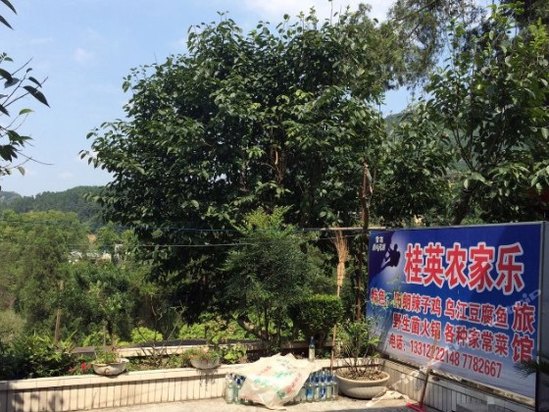 贵阳旅游住宿,贵阳住宿攻略,度假酒店,酒店网上