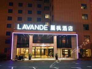 丽枫酒店(丽枫LAVANDE)(上海浦东机场店)图片