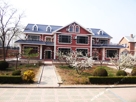 中华武馆,大连中华武馆攻略\/地址\/图片\/门票