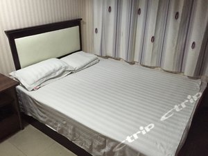 武汉武汉青山工业区(武汉站、欢乐谷)五星级铂