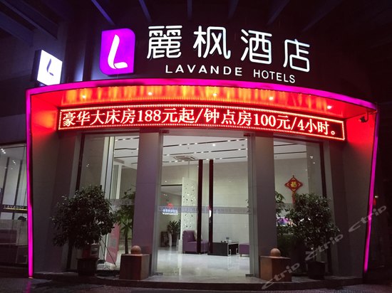 豪华双床房-丽枫酒店(丽枫LAVANDE)顺德容桂