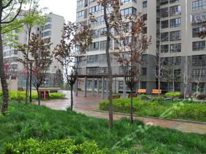 西安华清爱琴海温泉附近快捷连锁精品酒店如家