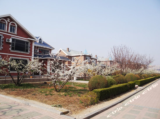 中华武馆,大连中华武馆攻略\/地址\/图片\/门票