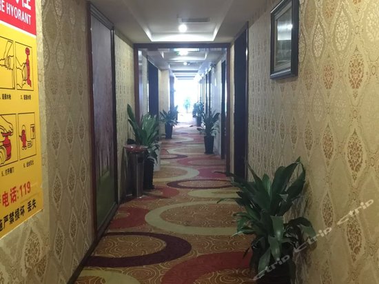 重庆朗廷商务酒店图片\房间照片\设施图片
