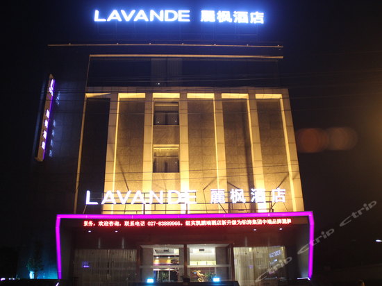 丽枫酒店(丽枫lavande)(武汉园博园长丰大道店)