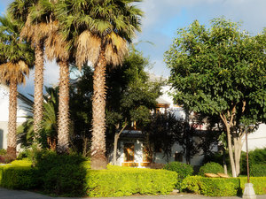 大理云兮精品客栈预订价格,联系电话\位置地址