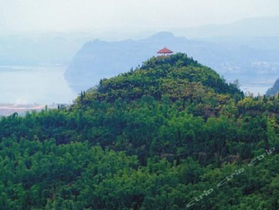 南充春芽山庄凤垭山风景旅游区