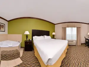 Holiday Inn Express & Suites Sherman Hwy 75