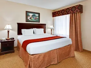 Holiday Inn Express & Suites Kingsport-Meadowview I-26