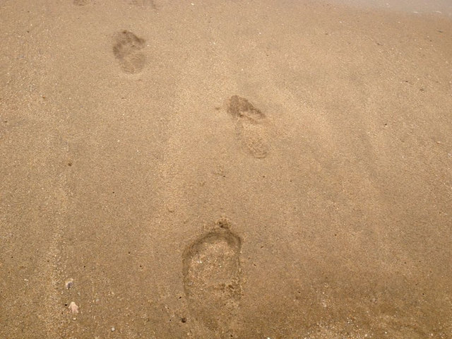 震撼发布:《厦门亲像一首歌》让全世界听见厦