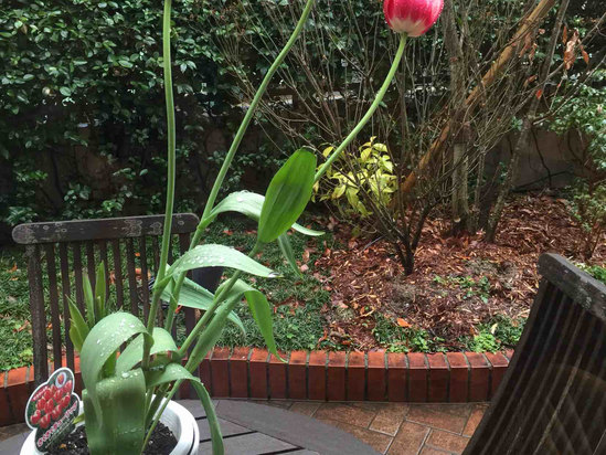 新大阪站酒店预订及价格查询【携程国际酒店】