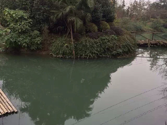 成都<em>温江</em>柏萃乡村<em>酒店</em>怎么样\好不好\服务点评