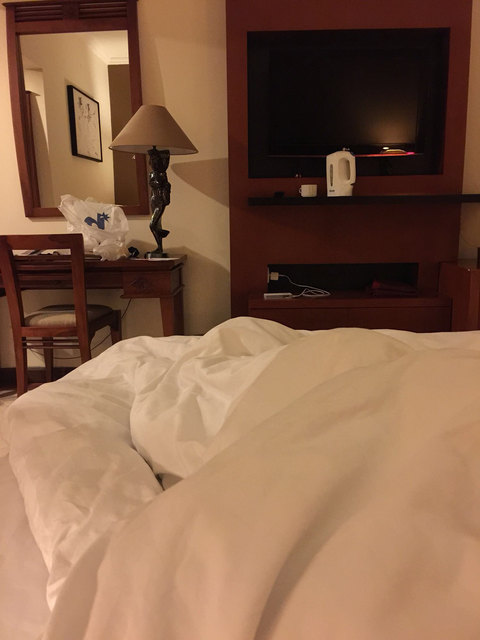 巴厘岛维拉酒店(the vira bali hotel)点评