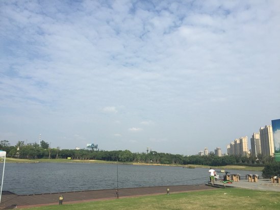 大阪喜来登都酒店预订及价格查询【携程海外酒