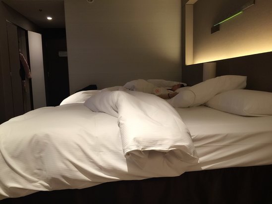 大阪喜来登都酒店预订及价格查询【携程海外酒