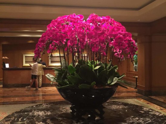 新加坡四季酒店点评,新加坡四季酒店怎么样