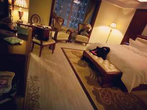 长沙酒店,长沙酒店预订查询,长沙宾馆住宿