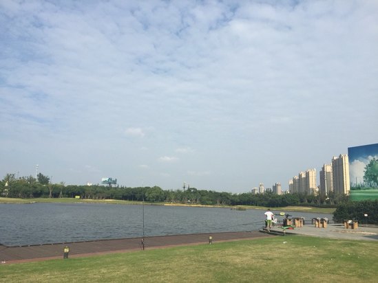 大阪喜来登都酒店预订及价格查询【携程海外酒