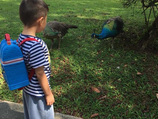 雅高酒店集团旗下新加坡圣淘沙水疗度假酒店预