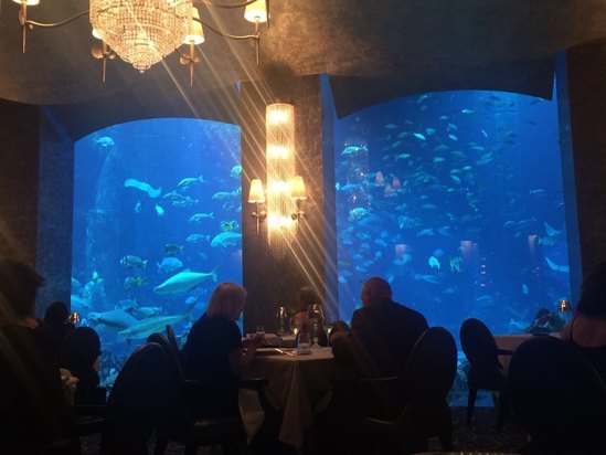 迪拜棕榈岛亚特兰蒂斯酒店预订及价格查询【携