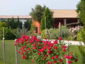 Borgo d'Asolo