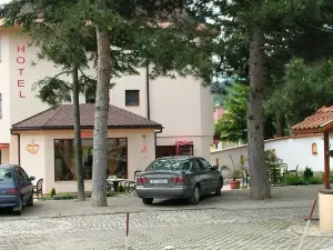 Family Hotel Emaly 1