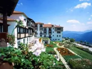 Hotel Spa Montana