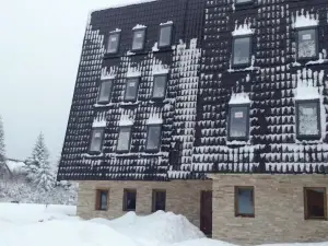 Apartments and Rooms Max-Well