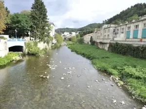 Appart'hôtel les Célestins