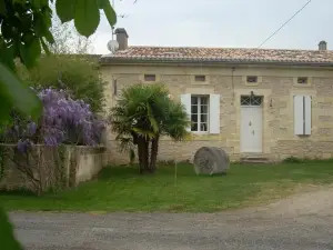 Sous les Marronniers