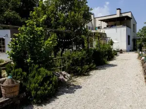 Agriturismo Campoletizia