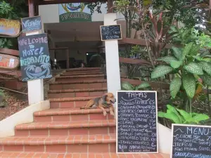 Hotel Iguanito