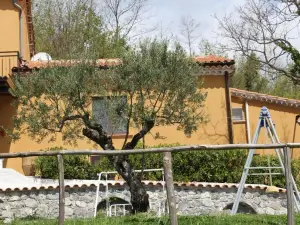 Il Rifugio del Cavaliere