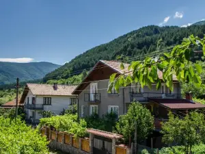 Dariya Guest House